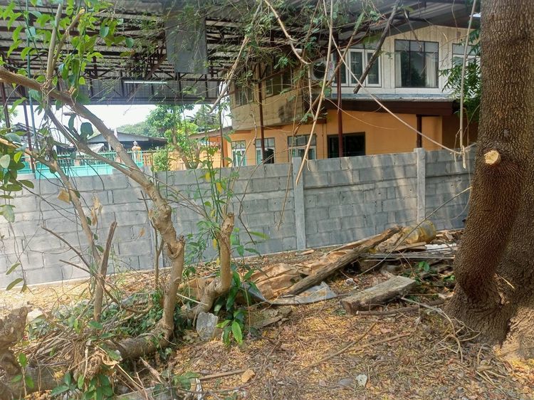 ให้เช่า ที่ดินว่างเปล่าเนื้อที่ 100 ตารางวา รูปที่ 3