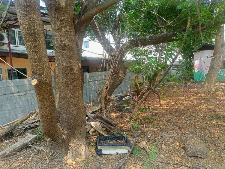 ให้เช่า ที่ดินว่างเปล่าเนื้อที่ 100 ตารางวา รูปที่ 2