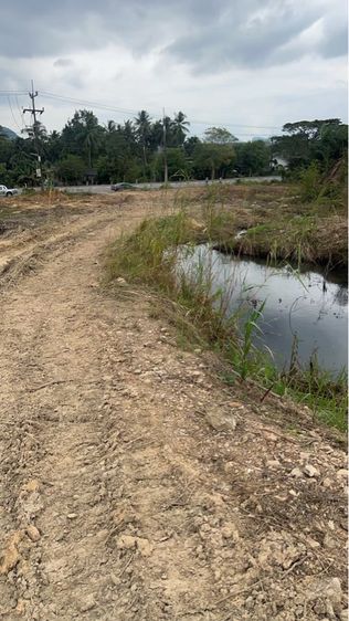 ที่ดินเปล่า