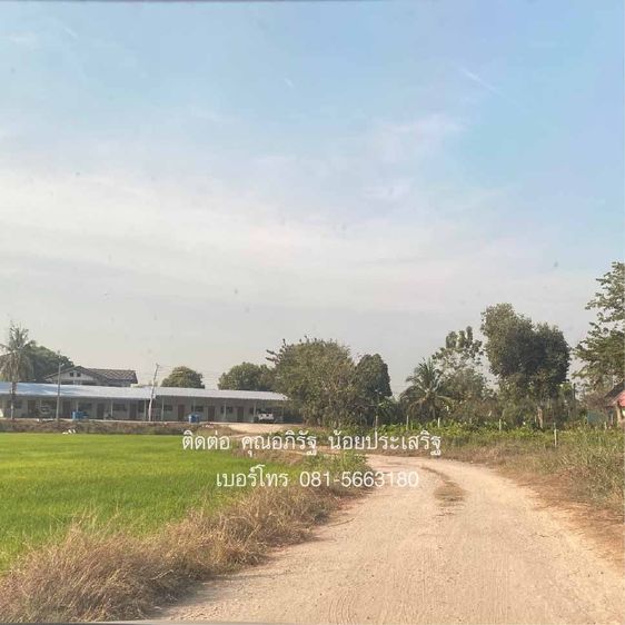 ที่ดินเปล่าราคาถูก 13 ไร่ 85 ตารางวา ตารางวาละ 1,000 บาท ต.หัวดง อ.เก้าเลี้ยว จ.นครสวรรค์ รูปที่ 4