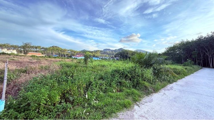 ที่ดินเปล่าใกล้แหล่งท่องเที่ยวอ่าวนางกระบี่ รูปที่ 3