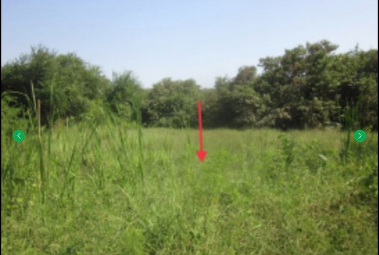 ขายที่ดินใกล้นิคม พานทองชลบุรี หน้าติดถนนหลังติดคลอง7ไร่96ตรว รูปที่ 4