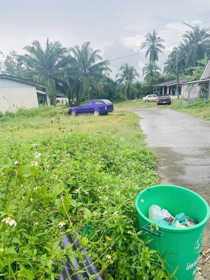 ที่ดินเปล่าตำบลบ้านกลางอ่าวลึกกระบี่50เมตรจากถนนเพชรเกษม รูปที่ 4