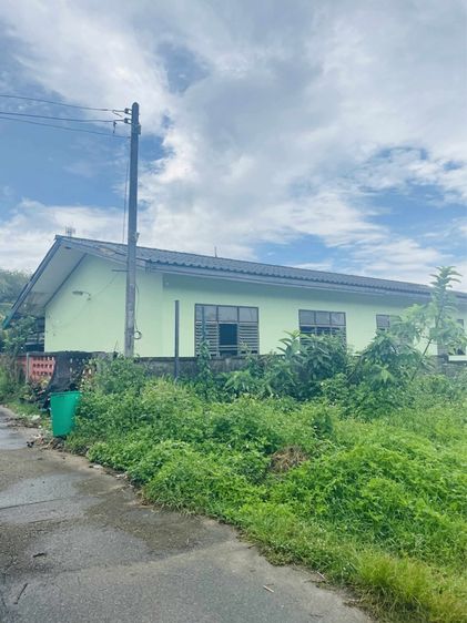 ที่ดินเปล่าตำบลบ้านกลางอ่าวลึกกระบี่50เมตรจากถนนเพชรเกษม รูปที่ 2