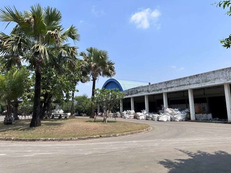 ให้เช่า-ขายโรงงาน โกดัง 31 ไร่ ปราจีนบุรี พร้อมใบอนุญาติประกอบกิจการ ทำเลดี ถนนสายกบินทร์บุรี-ปักธงชัย รูปที่ 3