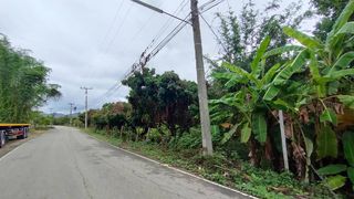 ห่างถนนเลี่ยงเมืองสันป่าตอง-หางดงเพียง 5 นาที ขายด่วนสวนลำไยบ้านเด่น ต.บ้านแม อ.สันป่าตอง จ.เชียงใหม่