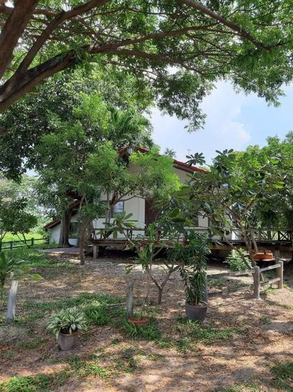 อื่นๆ 2010 บ้านชายทะเลหาดน้ำริน ระยอง รูปที่ 3