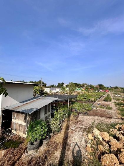 ขายที่ดินพร้อมสิ่งปลูกสร้าง ทำเลทอง 2-2-5.5 ตร.ว ติดถนนกาญจนาภิเษก อ.บางใหญ่ นนทบุรี หลังโรงถ่ายกันตนา บางใหญ่ รูปที่ 3