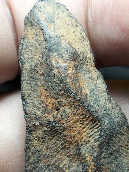 พระสิกขีลำพูนเนื้อเขียวครับ รูปที่ 15