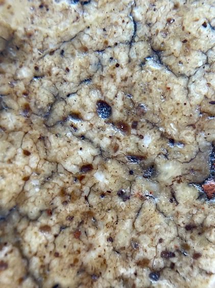 พระสมเด็จวัดระฆังพิมพ์เจดีย์ใหญ่เนื้อเทียนชัย รูปที่ 8