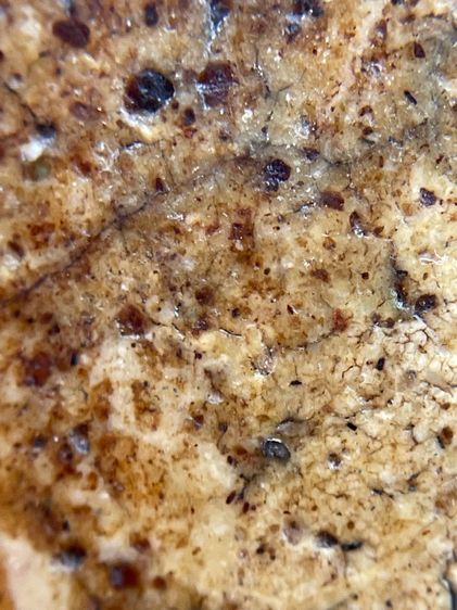 พระสมเด็จวัดระฆังพิมพ์เจดีย์ใหญ่เนื้อเทียนชัย รูปที่ 11