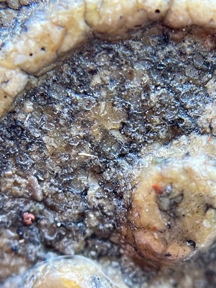 พระสมเด็จวัดระฆังพิมพ์เจดีย์ใหญ่เนื้อเทียนชัย รูปที่ 13