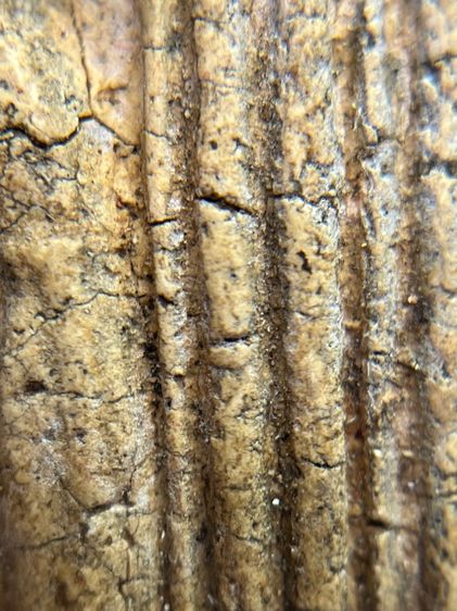 พระสมเด็จพิมพ์ ขุนอินท์พิมพ์ไสยาสน์ ไม่ตัดขอบเนื้อหาเก่าสวยเป็นธรรมชาติ(052) รูปที่ 5