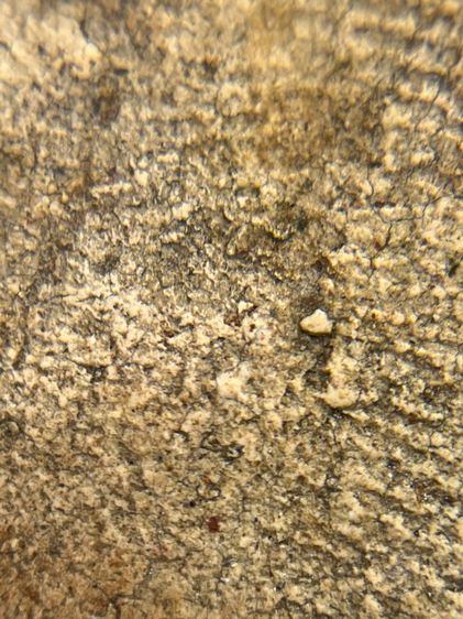 พระสมเด็จพิมพ์ ขุนอินท์พิมพ์ไสยาสน์ ไม่ตัดขอบเนื้อหาเก่าสวยเป็นธรรมชาติ(052) รูปที่ 13