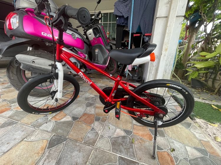 จักรยานเด็ก Royal Baby EZ free style 2 in 1 รูปที่ 12