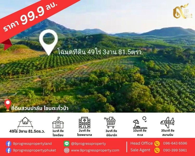 ที่ดินสวนปาล์ม