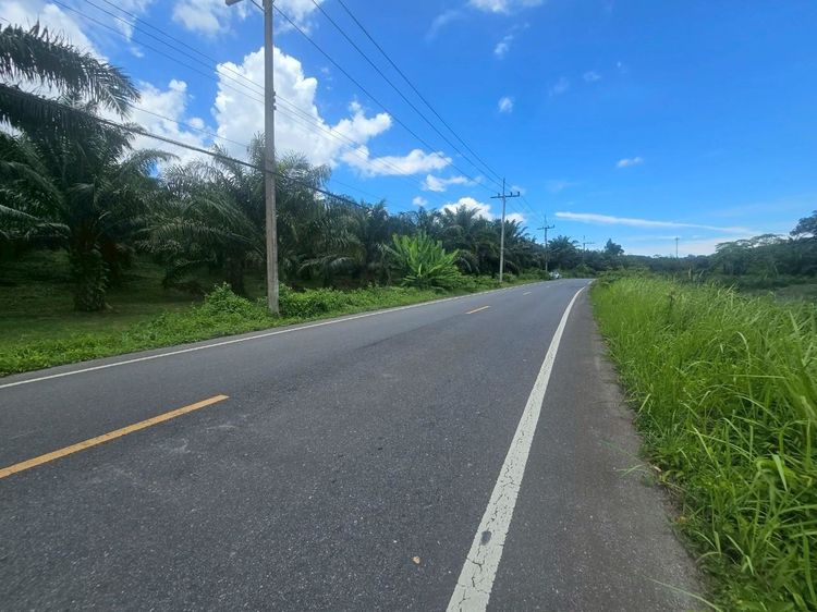 ที่ดินสวนปาล์ม รูปที่ 4