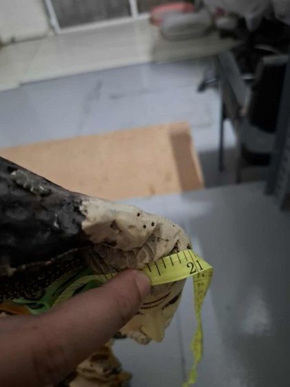 พระนารายณ์เปิดโลก สูง28นิ้ว กว้าง21นิ้ว รูปที่ 6