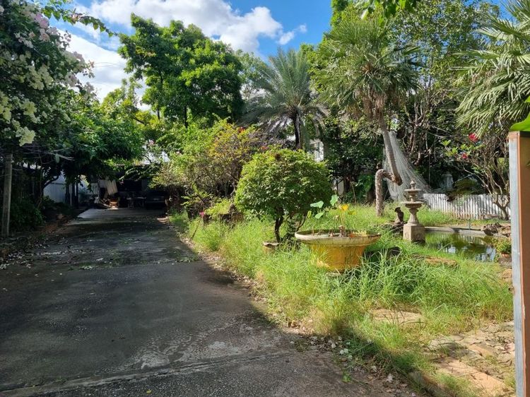 ขายที่ดินพร้อมสิ่งปลูกสร้าง 2-0-21.3 ไร่ ถูกที่สุดในบ้านศรีฐาน จ.ขอนแก่น ทำเลทอง ใกล้ Central ขอนแก่น