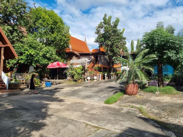 ขายที่ดินพร้อมสิ่งปลูกสร้าง 2-0-21.3 ไร่ ถูกที่สุดในบ้านศรีฐาน จ.ขอนแก่น ทำเลทอง ใกล้ Central ขอนแก่น รูปที่ 2