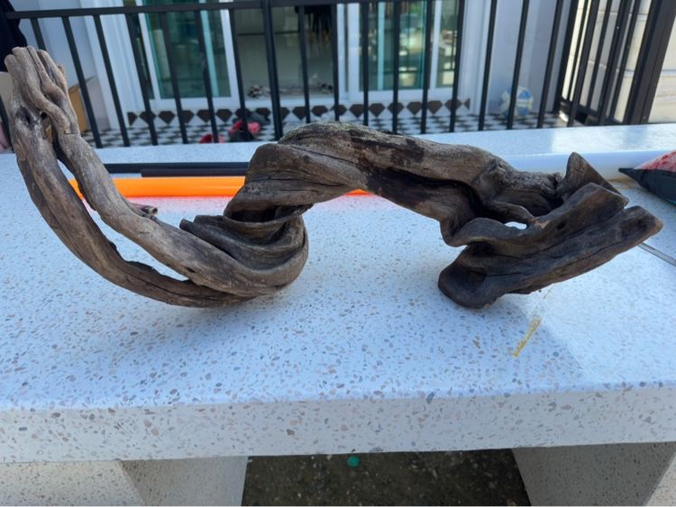 ขอนไม้ตู้ปลา ตู้ 36-48 นิ้ว รูปที่ 3