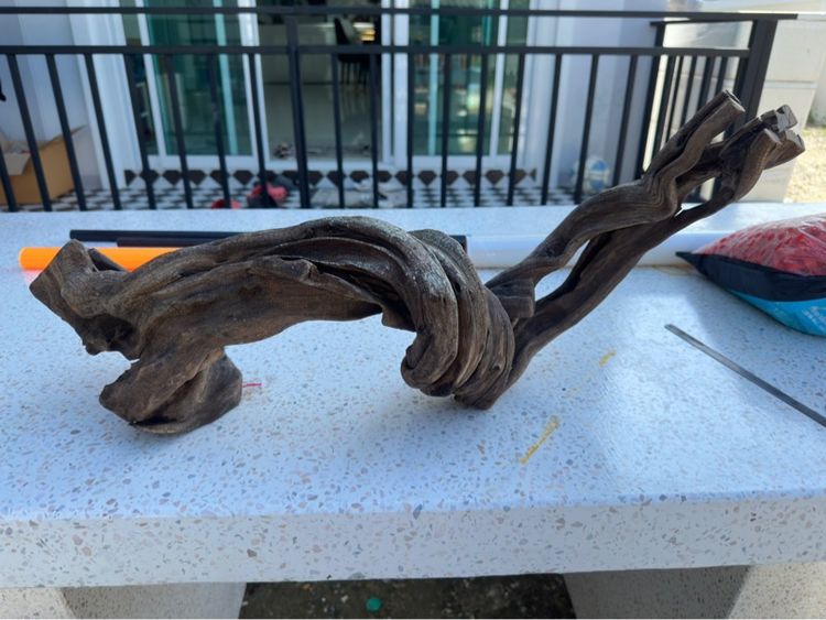 ขอนไม้ตู้ปลา ตู้ 36-48 นิ้ว รูปที่ 4