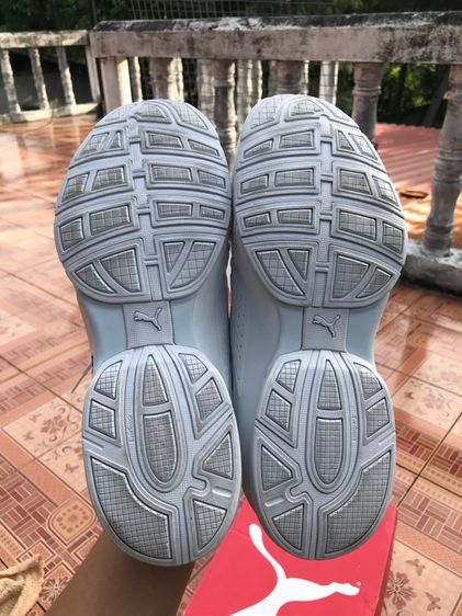 puma running รูปที่ 3