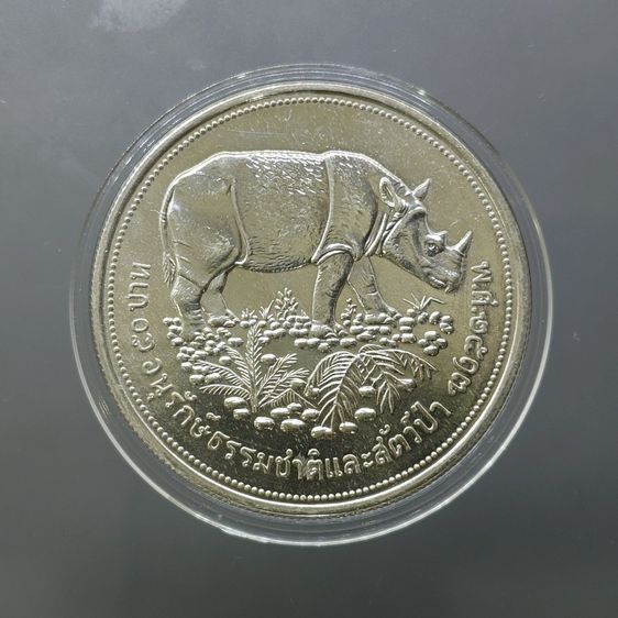 เหรียญเงิน 50 บาท ที่ระลึก การอนุรักษ์ธรรมชาติและสัตว์ป่า กระซู่ พ.ศ.2517 รูปที่ 2