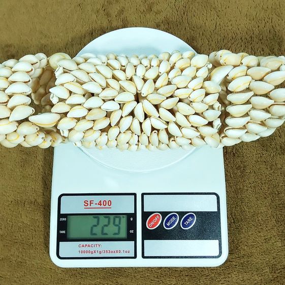 🥘🐚🌊 แผ่นรอง ของร้อน ทำจากเปลือกหอยเบี้ยจักจั่น Cowrie shell trivet Monetaria moneta Hot Pad Holder Doily รูปที่ 9