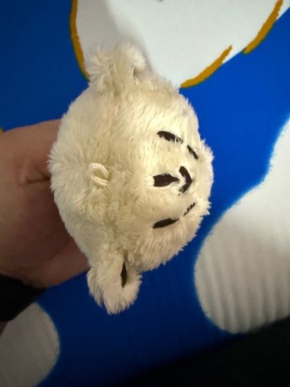 ชีต้าลี NCT รูปที่ 3