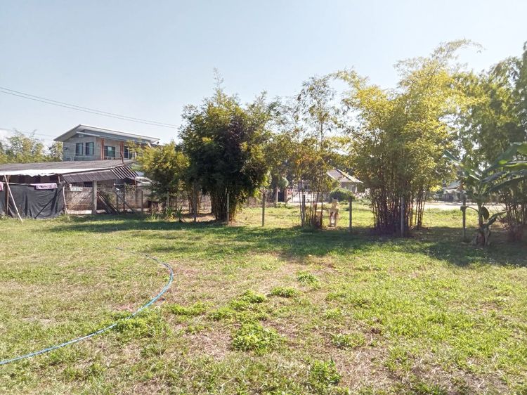 ขาย100 ตรว. ที่ดินเปล่า ถมแล้ว ติดลำน้ำ วิวทุ่งนา น้ำ-ไฟพร้อม พร้อมโอนจ้าๆๆ รูปที่ 3