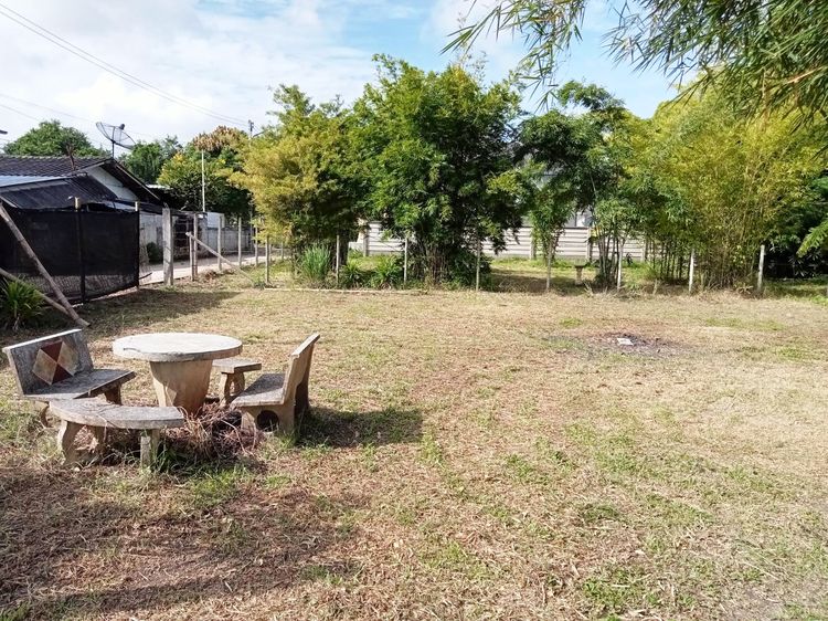 ขาย100 ตรว. ที่ดินเปล่า ถมแล้ว ติดลำน้ำ วิวทุ่งนา น้ำ-ไฟพร้อม พร้อมโอนจ้าๆๆ