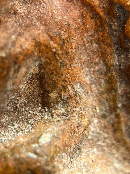 พระหลวงพ่อโตเนื้อดิน วัดบางกระทิง (053) รูปที่ 5