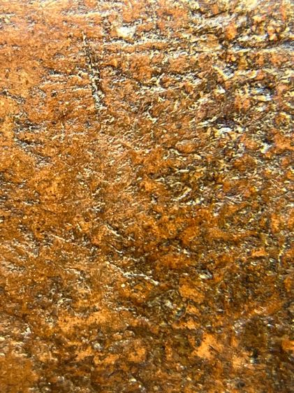 พระหลวงพ่อโตเนื้อดิน วัดบางกระทิง (053) รูปที่ 13