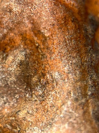 พระหลวงพ่อโตเนื้อดิน วัดบางกระทิง (053) รูปที่ 6