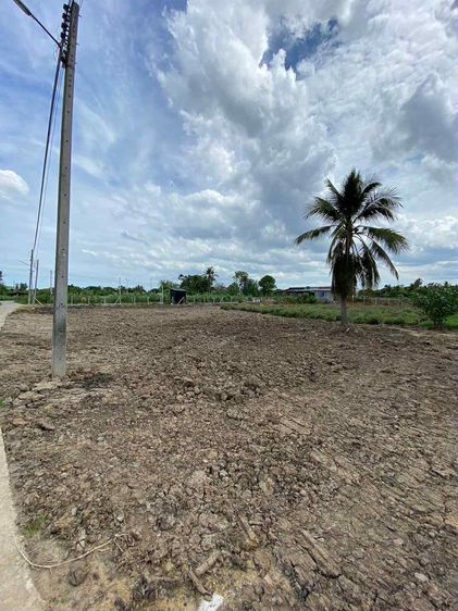 ขายที่ดิน นครชัยศรี ใกล้วัดหลวงพ่อสมหวัง รูปที่ 4