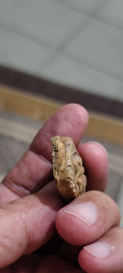 ดินเก่าอุดล่างโบราณ รูปที่ 9