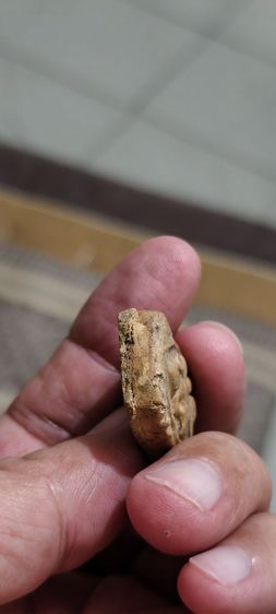 ดินเก่าอุดล่างโบราณ รูปที่ 11