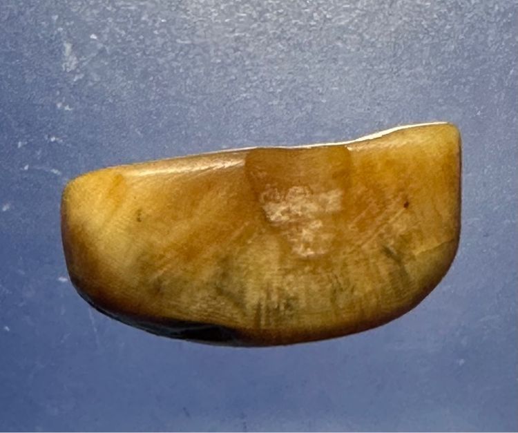 เขาควายเผือกหลวงพ่ออำ่วัดหนองกระบอก พิมพ์พระพุทธ  รูปที่ 10