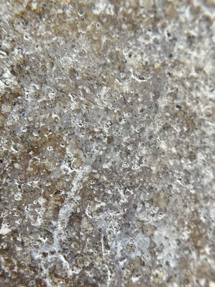 พระสมเด็จพิมพ์พระเจ้า 12 พระองค์ เนื้อสมเด็จเก่าสวยเป็นธรรมชาติ แปลกตามีน้อยหายากน่าเก็บสะสม รูปที่ 16