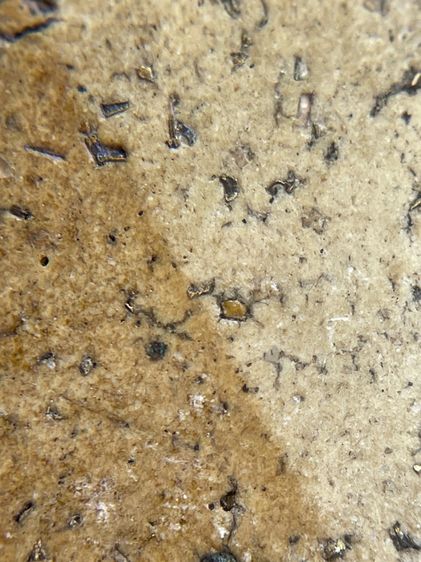 พระสมเด็จพิมพ์พิชัยหลังช้าง ซุ้มครอบแก้ว ลายไทย ศิลปะสวยงาม โรยผงตะไบทอง พุทธคุณสูงแม่เหล็กดูดติด  รูปที่ 14