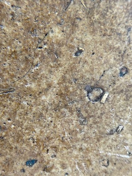 พระสมเด็จพิมพ์พิชัยหลังช้าง ซุ้มครอบแก้ว ลายไทย ศิลปะสวยงาม โรยผงตะไบทอง พุทธคุณสูงแม่เหล็กดูดติด  รูปที่ 15