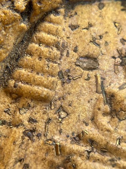 พระสมเด็จพิมพ์พิชัยหลังช้าง ซุ้มครอบแก้ว ลายไทย ศิลปะสวยงาม โรยผงตะไบทอง พุทธคุณสูงแม่เหล็กดูดติด  รูปที่ 7