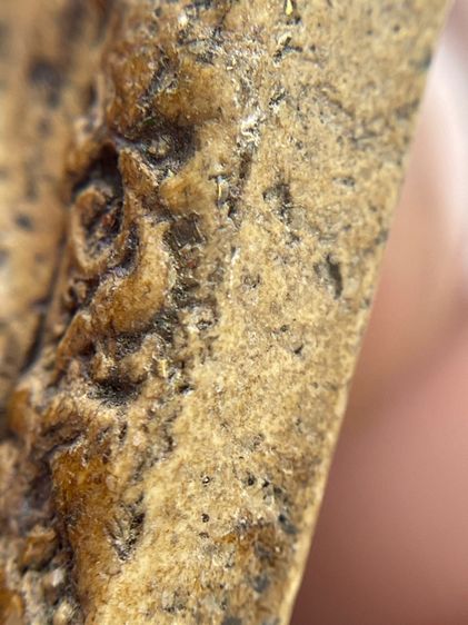 พระสมเด็จพิมพ์พิชัยหลังช้าง ซุ้มครอบแก้ว ลายไทย ศิลปะสวยงาม โรยผงตะไบทอง พุทธคุณสูงแม่เหล็กดูดติด  รูปที่ 12