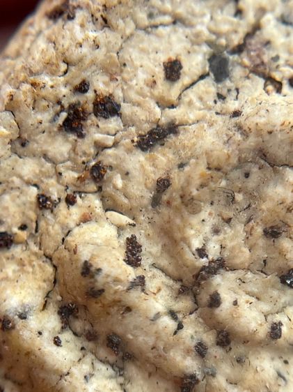 พระสมเด็จวัดระฆังพิมพ์เจดีย์เกศยาว เนื้อหามวลสารจัดจ้านพุทธคุณสูงแม่เหล็กดูดติด รูปที่ 8