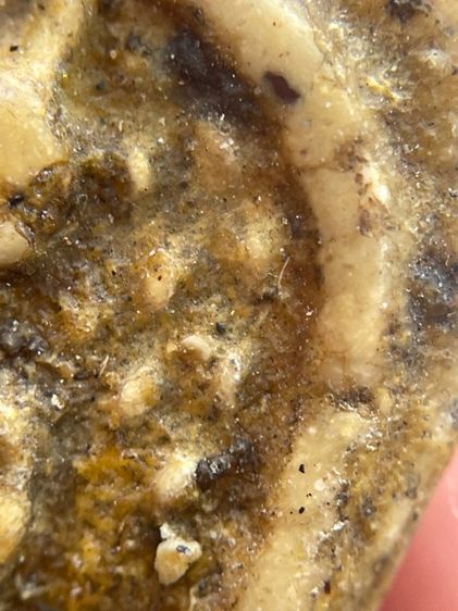 พระสมเด็จวัดระฆังพิมพ์ปกโพธิ์ใหญ่ พระเก่าเก็บสภาพสวย รูปที่ 7