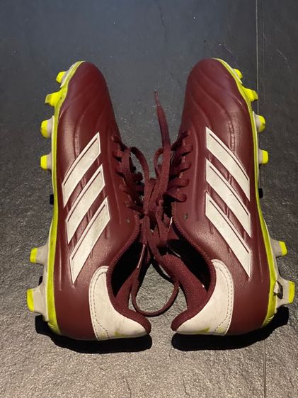 รองเท้าผ้าใบ รูปที่ 7