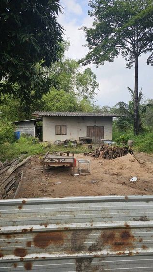 ขายที่ดินพร้อมบ้านชั้นเดียว ใกล้วัดทุ่งเหียง รูปที่ 3