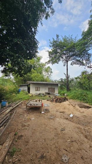 ขายที่ดินพร้อมบ้านชั้นเดียว ใกล้วัดทุ่งเหียง รูปที่ 4