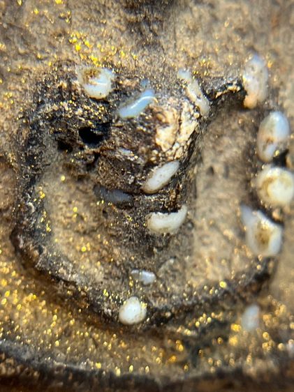 พระสมเด็จวัดระฆังพิมพ์ใหญ่เนื้อสีดำใบลาน หลัง ตราฉัตร ร.4(056) รูปที่ 5